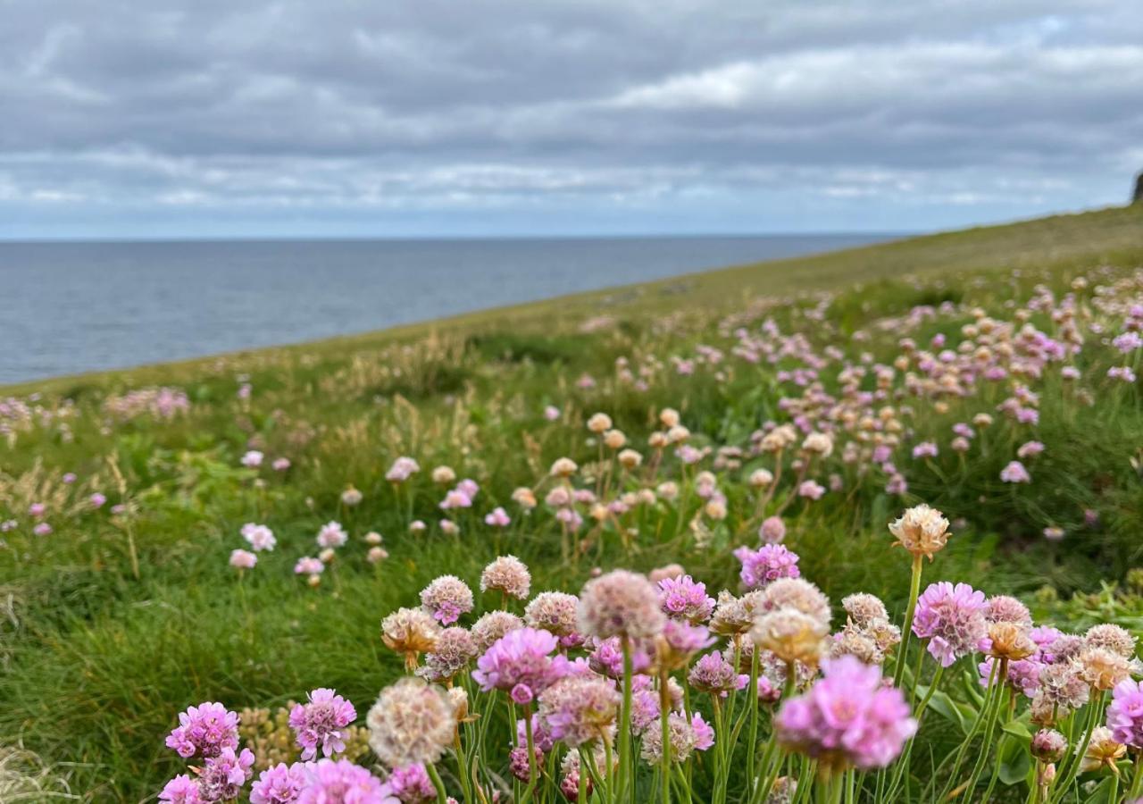 Loop Head Lighthouse Attendant'S Cottage Kilbaha ภายนอก รูปภาพ